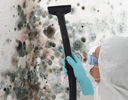 Best Asbestos and Lead Testing During Mold Inspection  in North Decatur, GA